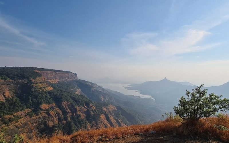 20201203-162020-largejpg