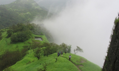 Untitled design (11)