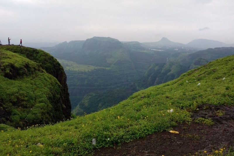 f2e216e4b0d3f58bac3ac07bb9fb5860_1000x1000